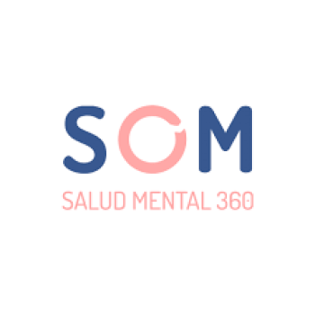 SOM 360 project